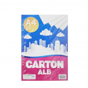 Set CARTON ALB 10 foi (10)