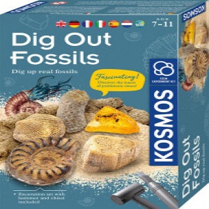 Set educativ STEM - Fosile antice KOS616922