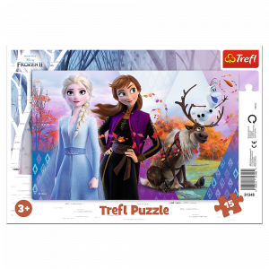 Trefl 31348 Puzzles - "15 Frame" - Anna and Elsa's Magical World   Disney Frozen 2