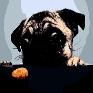 ZB.64238 Pictura pe numere  Mops, 40*50 cm, ART Line