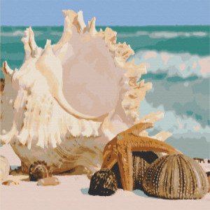 10565-AC Pictura pe numere Музыка моря 40*50 см