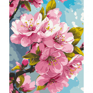 13099-AC Pictura pe numere Цвет сакуры 40*50 см
