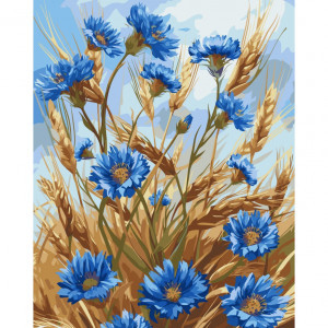 13127-AC Pictura pe numere Васильки 40*50 см