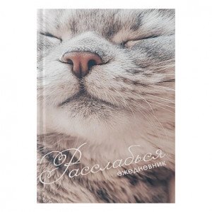 Agenda A5 128 foi nedatata Расслабься ЕЖФ25512821