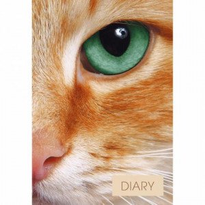 Agenda nedatata A5 128f ЕЖИ23512807 Взгляд