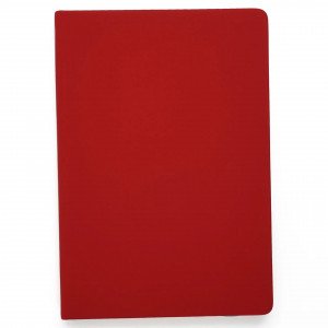 Agenda nedatata A5 152 foi Paragraph. Красный ЕКП52115205