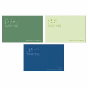Album desen 40 foi Pantone А402707