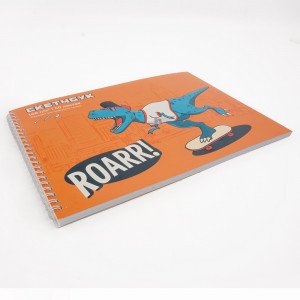 Album desen 40 foi Sketchbook. FreeStyler ТС2ЛК405021 spirala