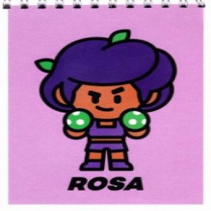 Brawl Stars. Carnet spirala А6, 40f Crow, Tara,Rosa,Max,Spike