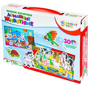 BRIGHT KIDS. Joc educativ cu magniti. ДОМАШНИЕ ЖИВОТНЫЕ Арт. (ИН-7612)