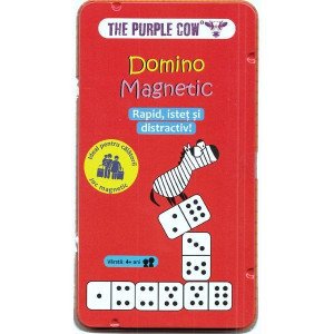 CW0214-Domino Magnetic