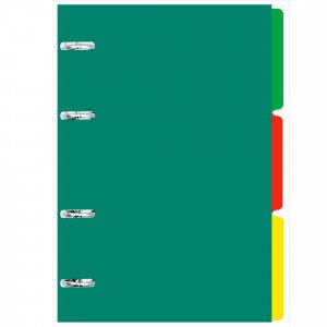 Caiet A5 120 foi patr My Notebook. No 4 ПБП1205112 separator inele