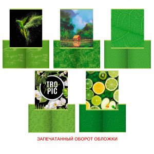 Caiet A5 48f patr color Green mix ТК488535
