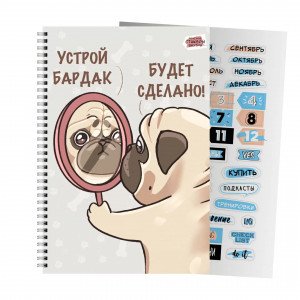 Caiet conspecte A4 80f cu autocolante Баловень ТС2Л4805308 patr. spirala