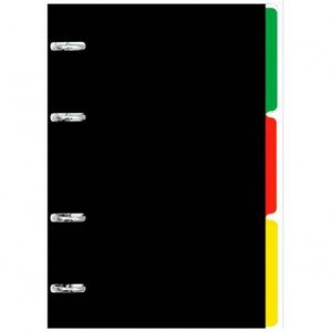 Caiet inele A5 120f cu separator My Notebook. No 2 ПБП1205110 patr