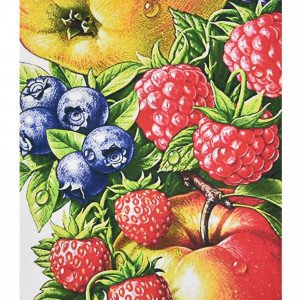 Pictura cu diamante (HEG86862) Сочные ягоды и фрукты Strateg  30х40 см