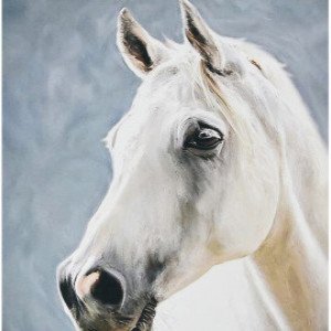 Pictura cu diamante (SK88246) Сила природы Strateg  40х50 см