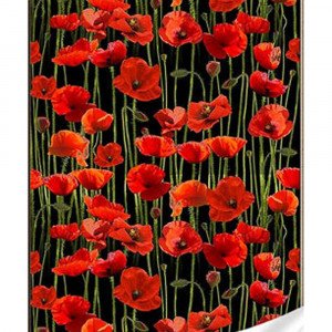 Pictura cu diamante HEG86881 Маки fon negru 30х40см