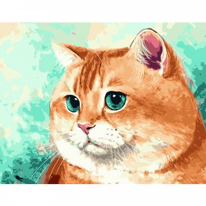 Pictura pe numere (VA-1294) Pisica rosie cu ochi albastri 40х50 см