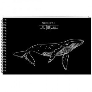 Sketchpad pentru acuarela 20f 250x170 spirala Whale СПСФ520148