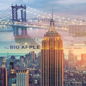 Trefl 10393 Puzzles - "1000" - New York at dawn   Getty Images