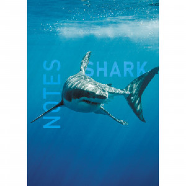 Notebook A5 80 foi patr ЕТИ580539 Shark