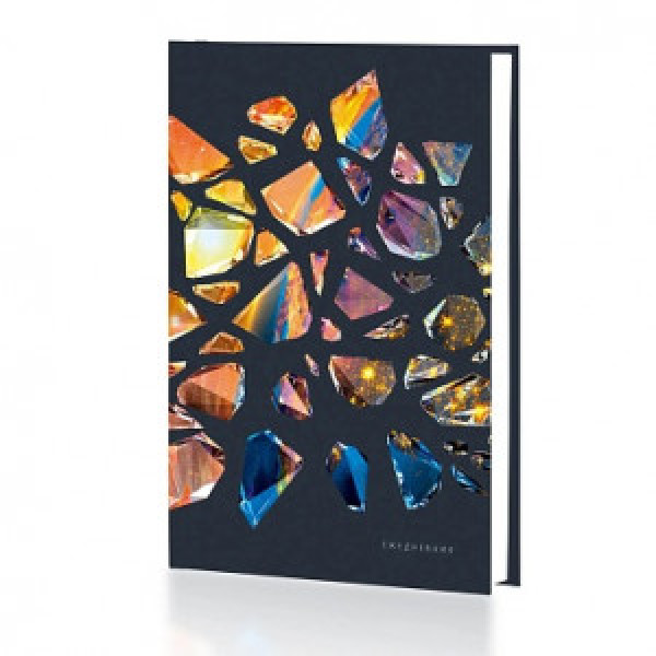 Agenda A5 128 foi nedatata Осколки ЕЖФ24512818