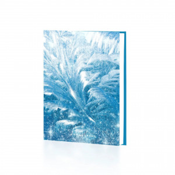 Agenda A6 112 foi nedatata Морозные узоры ЕЖФ24611209