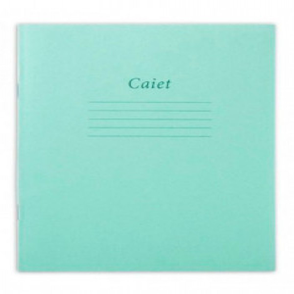 CAIET 12 foi linie oblica (25)