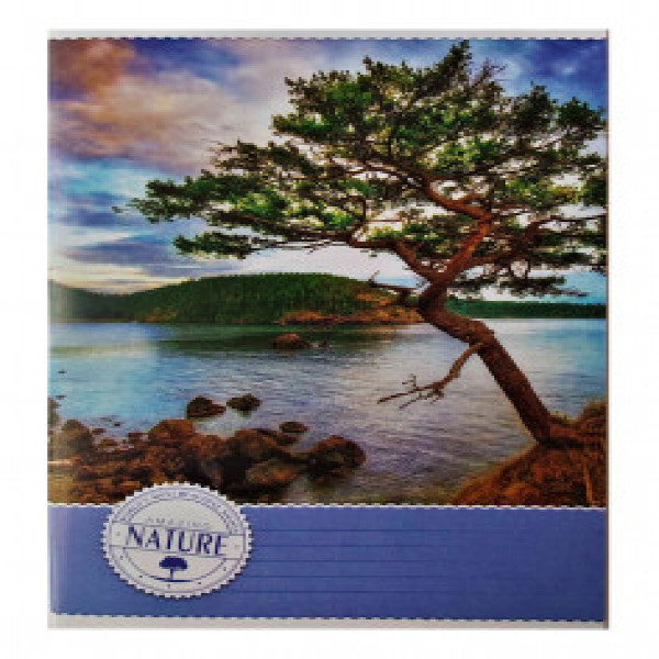 CAIET 24 foi EURO 1154 клетка  (80)