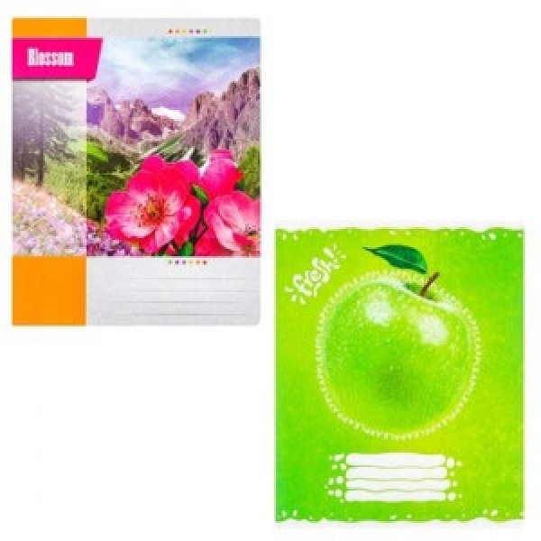 CAIET 36 foi клетка (16)