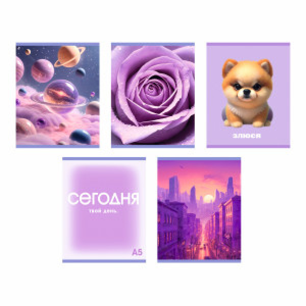 Caiet A5 48 foi patr Лиловый микс ТК489307