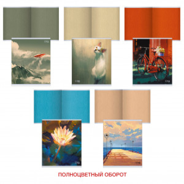 Caiet A5 48f ТКЛ488413 Моя картина patr