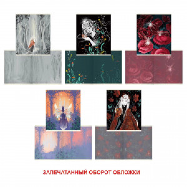 Caiet A5 48f Сказочный мир (Эксклюзив) ТКЛ488734 patr