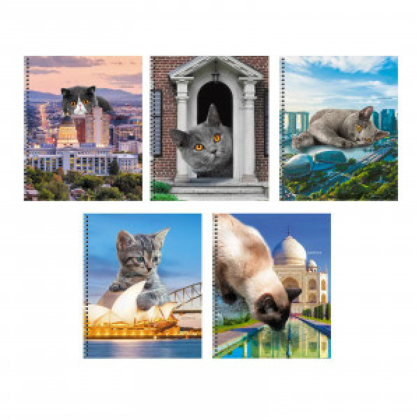 Caiet A5 60f Коты в городе! ТС608567 linie spirala