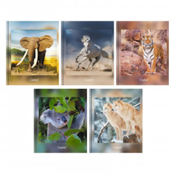 Caiet A5 80f В дикой природе ТСЛ807697 patr spirala