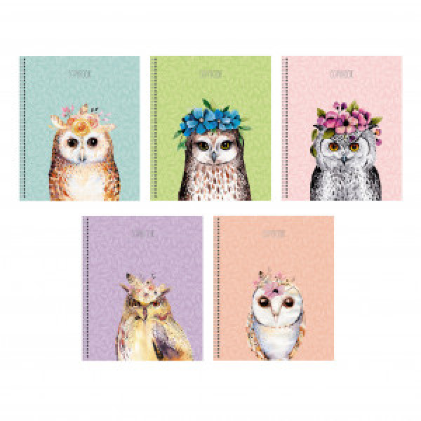 Caiet A5 80f patr spirala Нарядная сова ТСФ807719