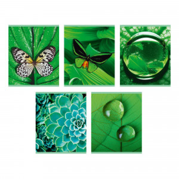 Caiet A5 96f ТЛ968707 Занимательная природа patr