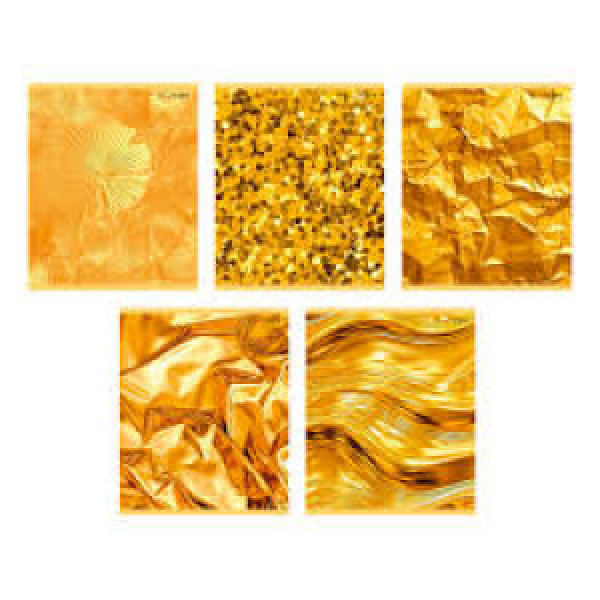 Caiet A5 96 foi ТЛ968693 Золотые переливы linie