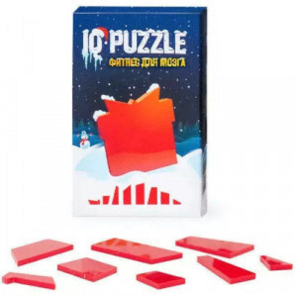 IQ Puzzle New Year's Present