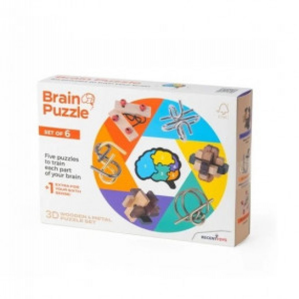 Joc de logica Puzzle mecanic RECENT Brain Set of 6 RT5144
