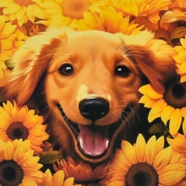 Pictura cu diamante (HEE16336) Пес в подсолнухах Strateg  30х30 см