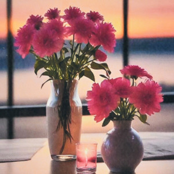 Pictura cu diamante (HEE16349) Розовые мечты Strateg  30х30 см