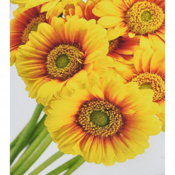 Pictura cu diamante (HEG88145) Солнечные цветы Strateg  30х40 см