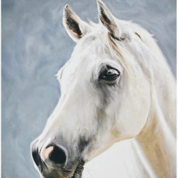 Pictura cu diamante (SK88246) Сила природы Strateg  40х50 см