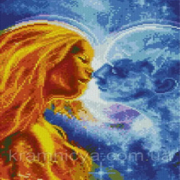 Pictura cu diamante HX284 Протилежності 30х40см