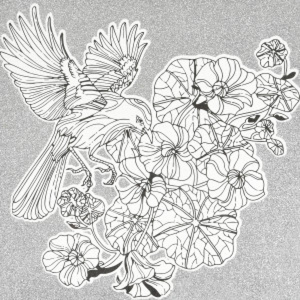 Pictura pe numere-antistres JCEE37102 Пташина гармонія 30х30см