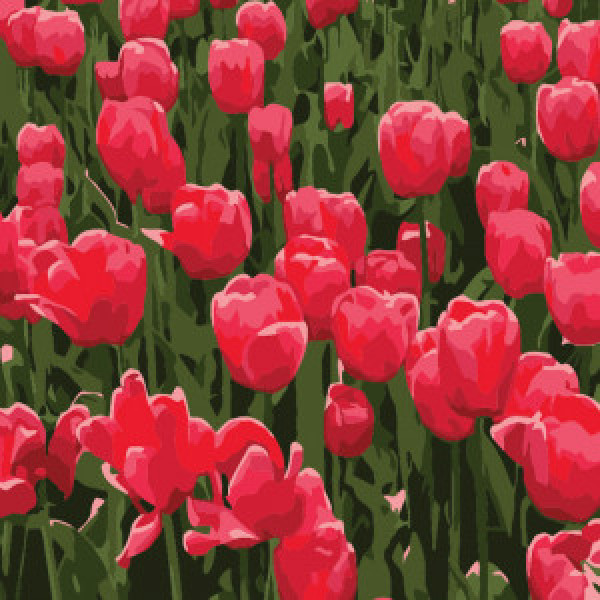 Pictura pe numere (HH5367) Lalele 20х20 см p/u copii