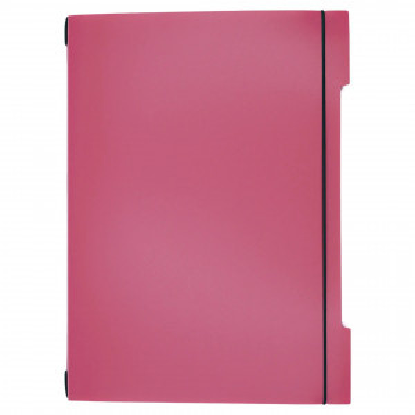Set 2 Caiete A4 48f DoubleBook. Вересковый ТПДБ496225 patr