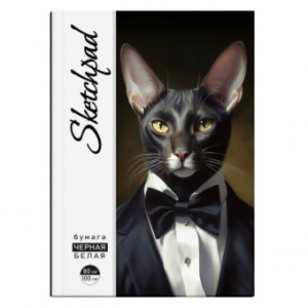 Sketchpad Bloc alb si negru A5 48 foi КОТ-ДЖЕНТЕЛЬМЕН 67601